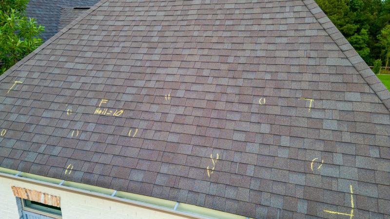 Asphalt Roof Inspection in Ellendale, DE