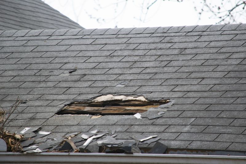 Asphalt Roof Leak Repair in Ocean View, DE