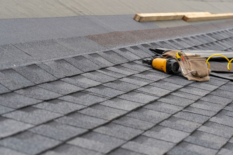 Asphalt Roof Repair in Bethany Beach, DE