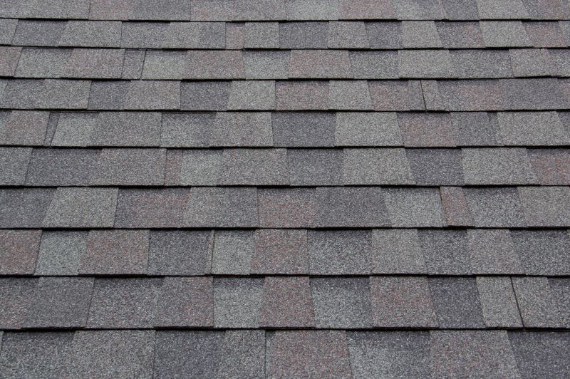 Asphalt Shingles Installation in Salisbury, MD