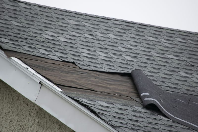 Asphalt Shingles Repair in Frankford, DE