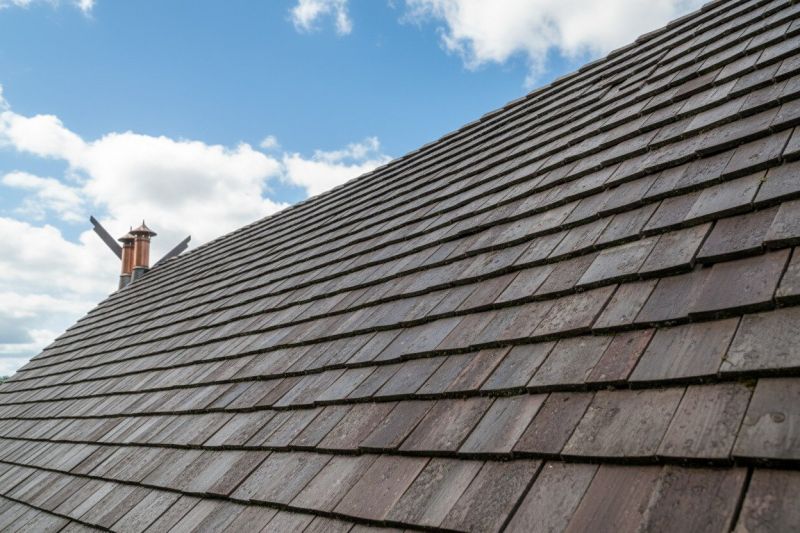 Cedar Roof Replacement in Millsboro, DE