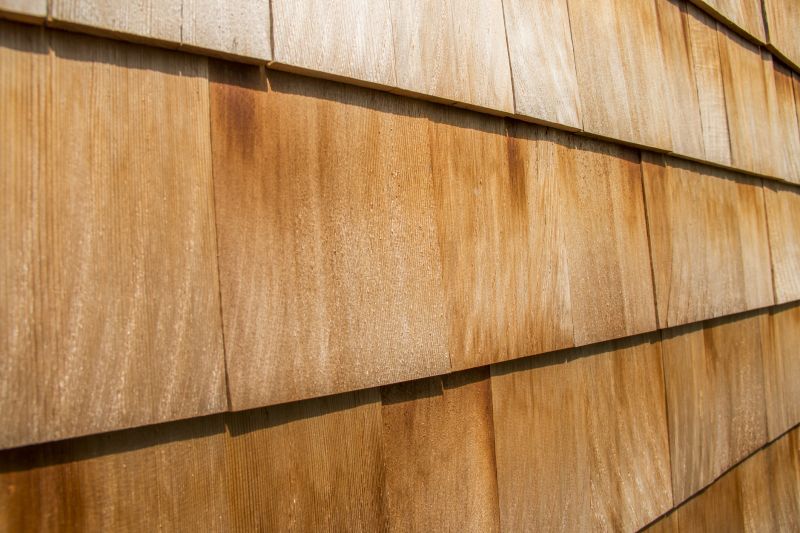 Cedar Shingles Repair in Frankford, DE