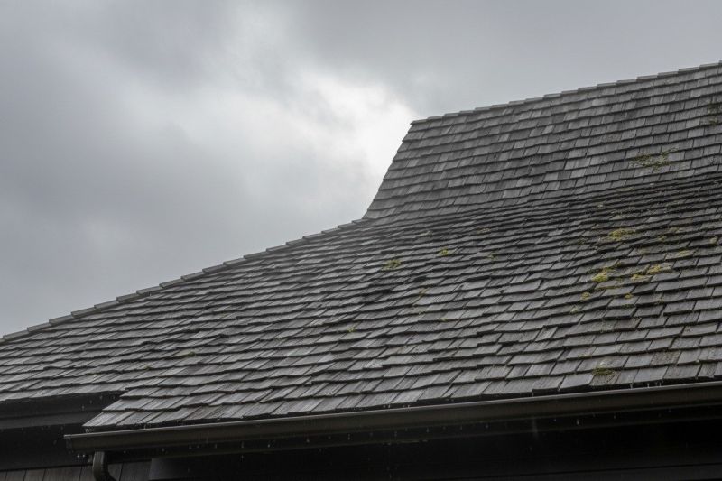 Cedar Shingles Replacement in Parsonsburg, MD