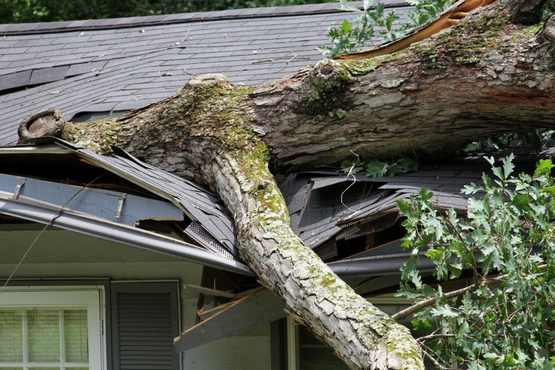 Collapsing Roof Repair in Selbyville, DE