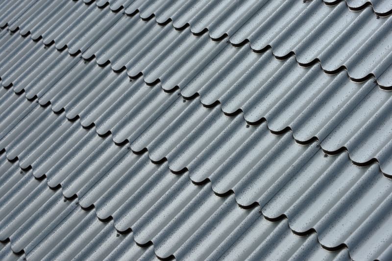 Corrugated Roof Repair in Fenwick Island, DE