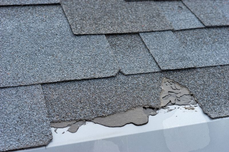 Damaged Roof Repair in Lewes, DE