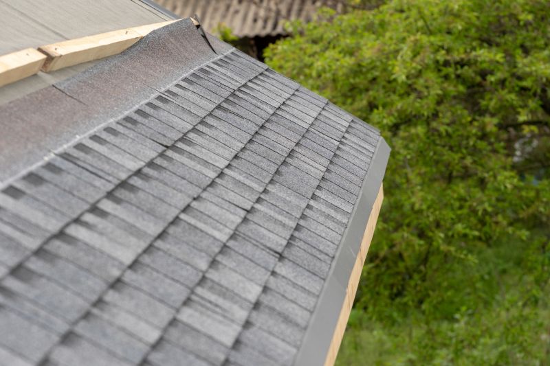 Damaged Roof Repair in Lewes, DE