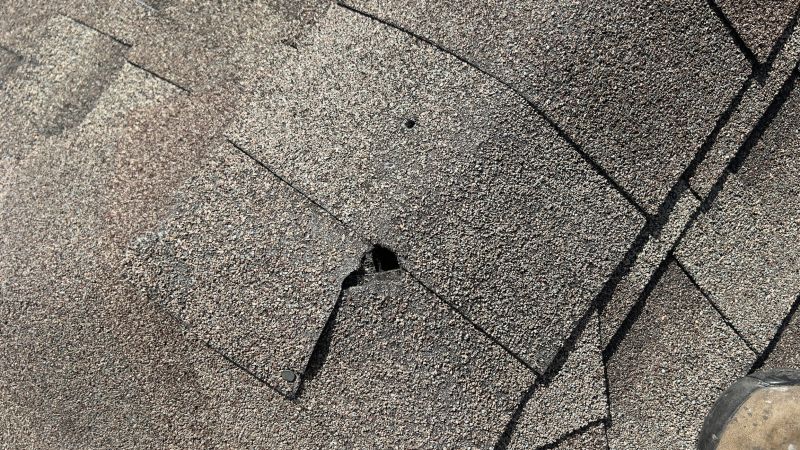 Damaged Roof Repair in Salisbury, MD