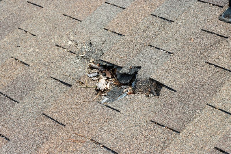 Damaged Roof Replacement in Georgetown, DE