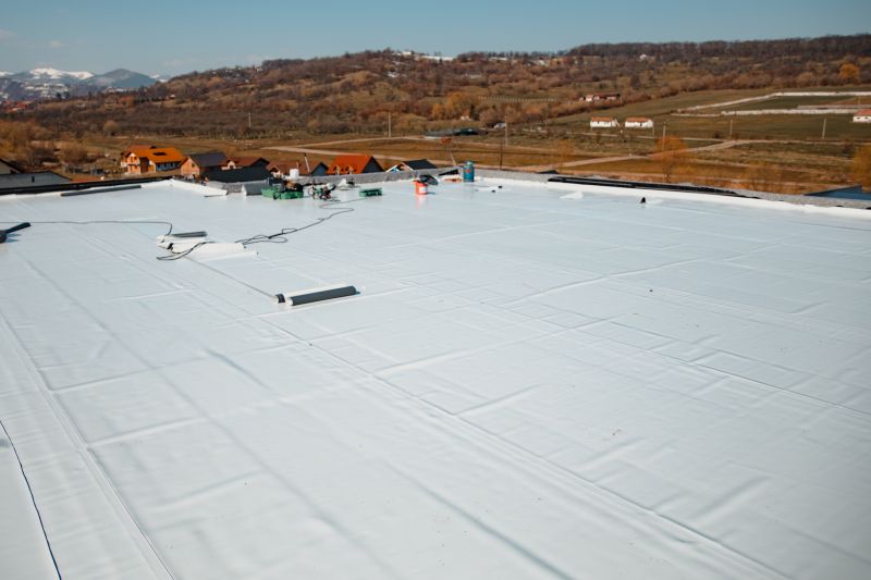 Epdm Roof Installation in Ellendale, DE