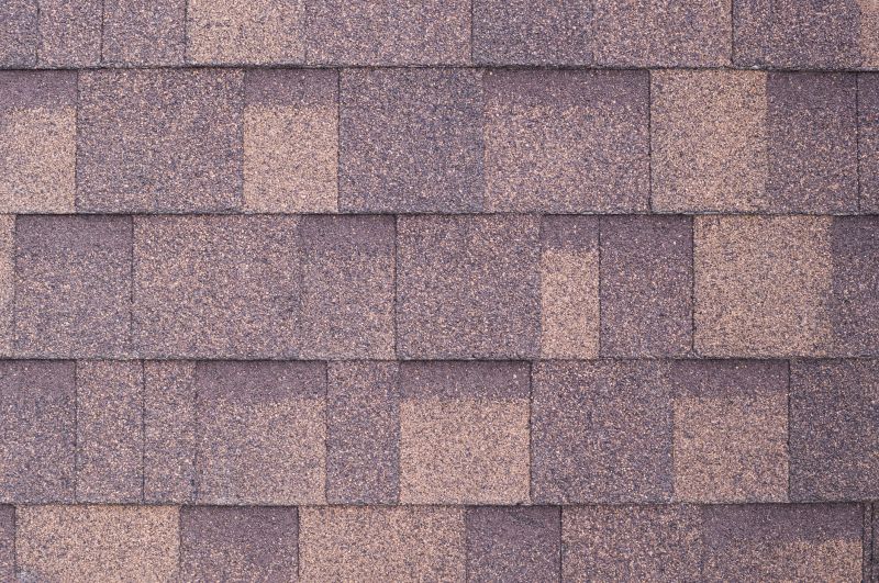 Fiberglass Shingles Repair in Selbyville, DE