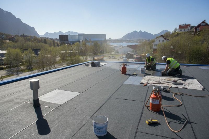 Flat Roof Replacement in Frankford, DE