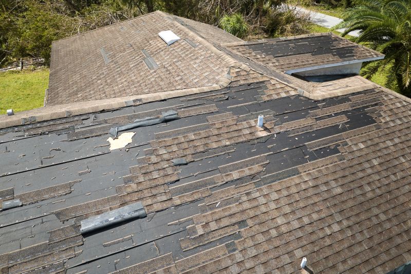 Hail Damage Roof Repair in Ocean View, DE