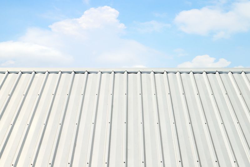 Metal Roof Coating Installation in Selbyville, DE