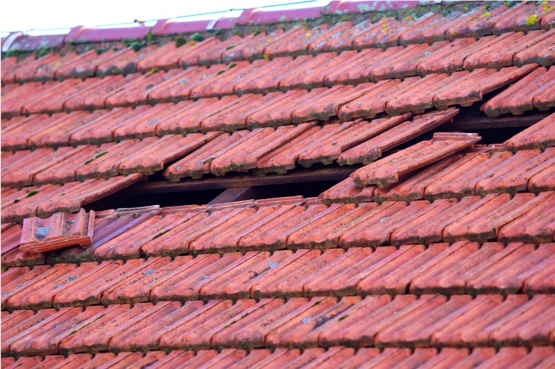 Roof Damage Inspection in Fenwick Island, DE