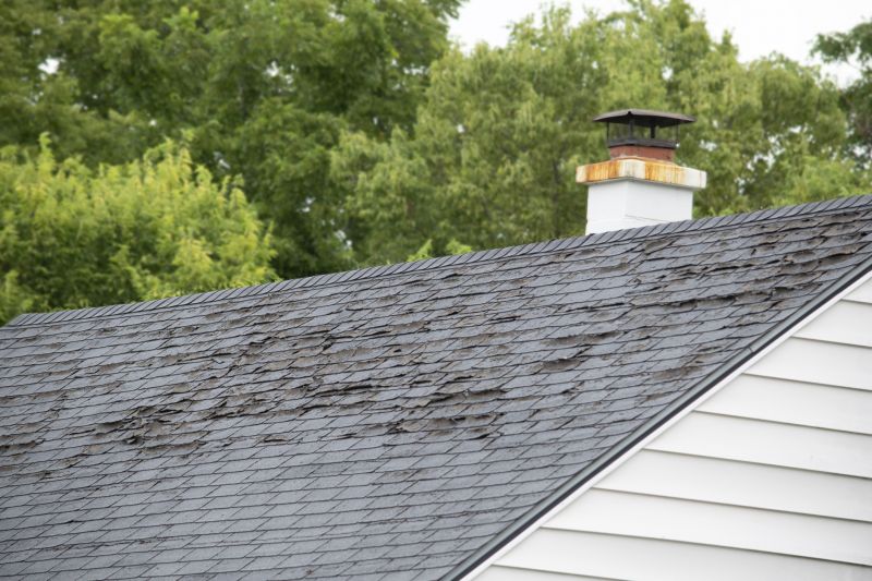 Roof Hail Damage Repair in Selbyville, DE