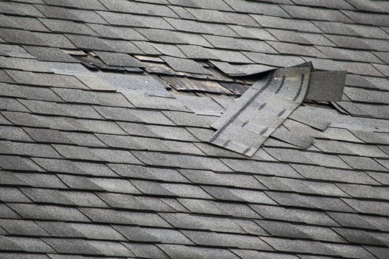 Roof Hail Damage Repair in Selbyville, DE