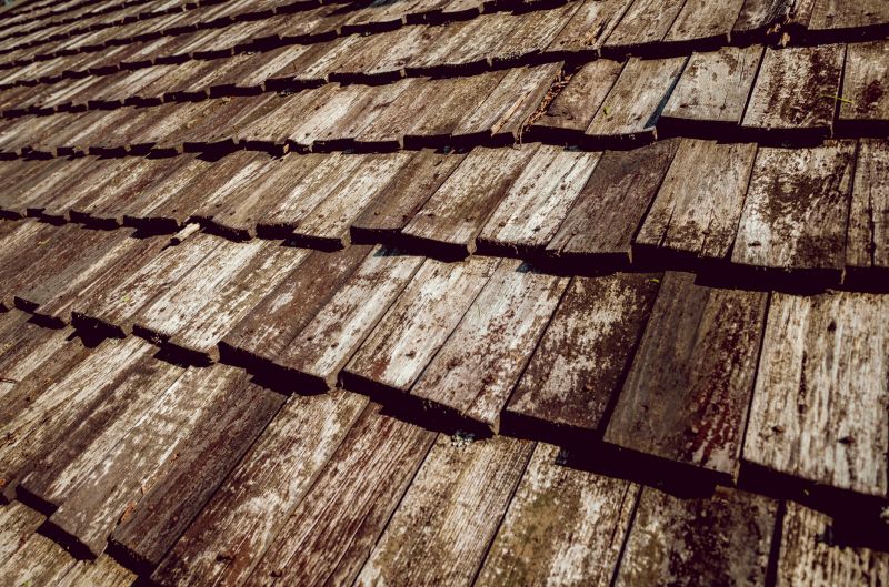 Shake Roof Replacement in Selbyville, DE