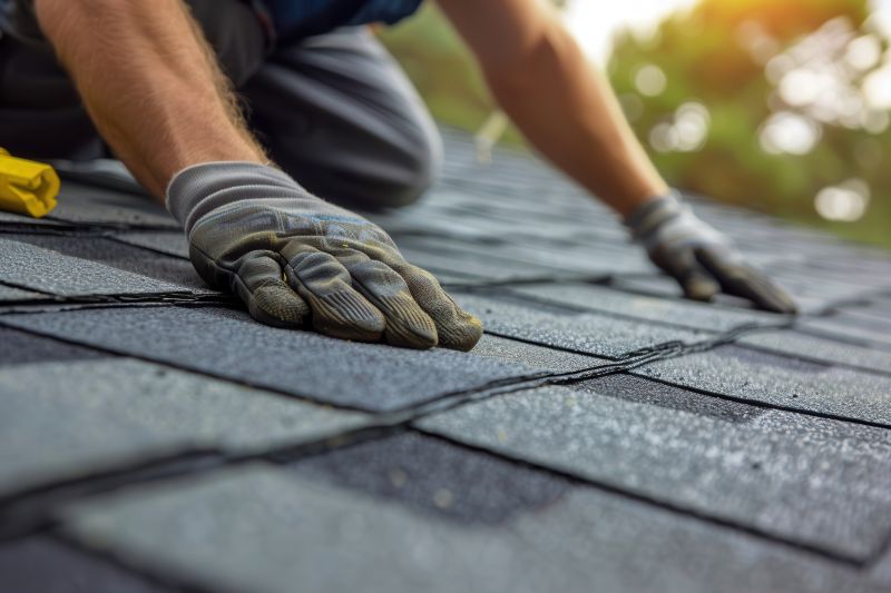 Shingles Repair in Dagsboro, DE