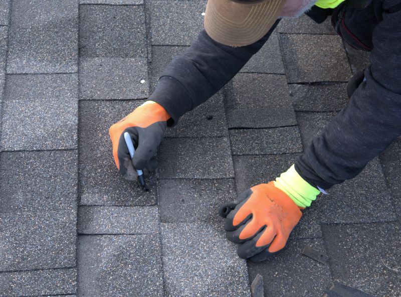 Shingles Repair in Delmar, DE