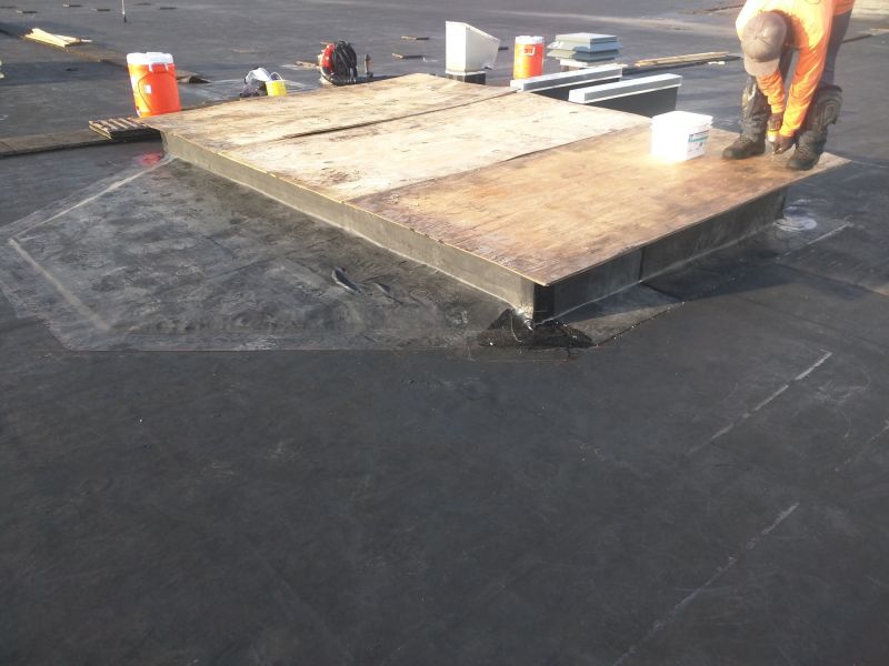 Single Ply Roof Inspection in Selbyville, DE