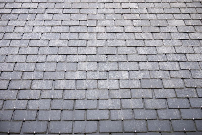Slate Roof Inspection in Selbyville, DE