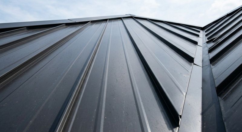 Standing Seam Roof Repair in Selbyville, DE