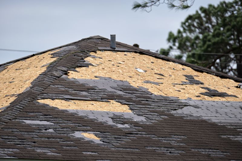 Storm Damage Roof Repair in Fenwick Island, DE