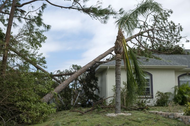 Storm Damage Roof Repair in Frankford, DE