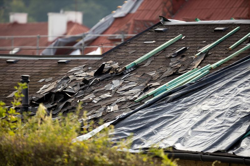 Storm Damage Roof Tarping in Selbyville, DE