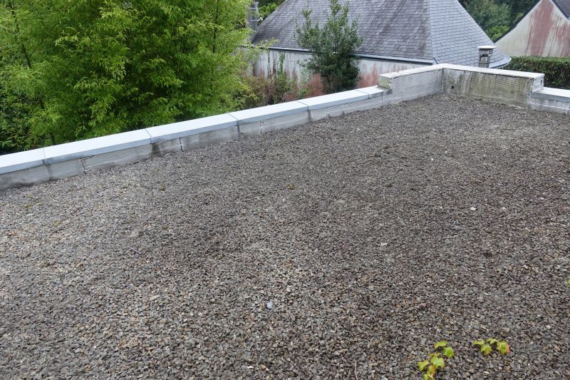 Tar And Gravel Roof Repair in Parsonsburg, MD