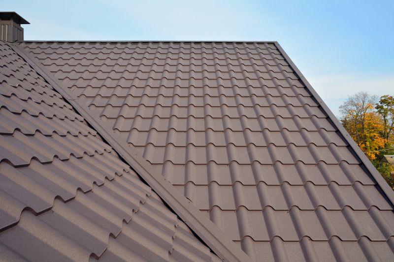 Tin Roof Installation in Bethany Beach, DE