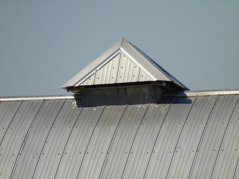 Tin Roof Installation in Milton, DE