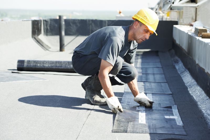 Tpo Roof Repair in Ellendale, DE