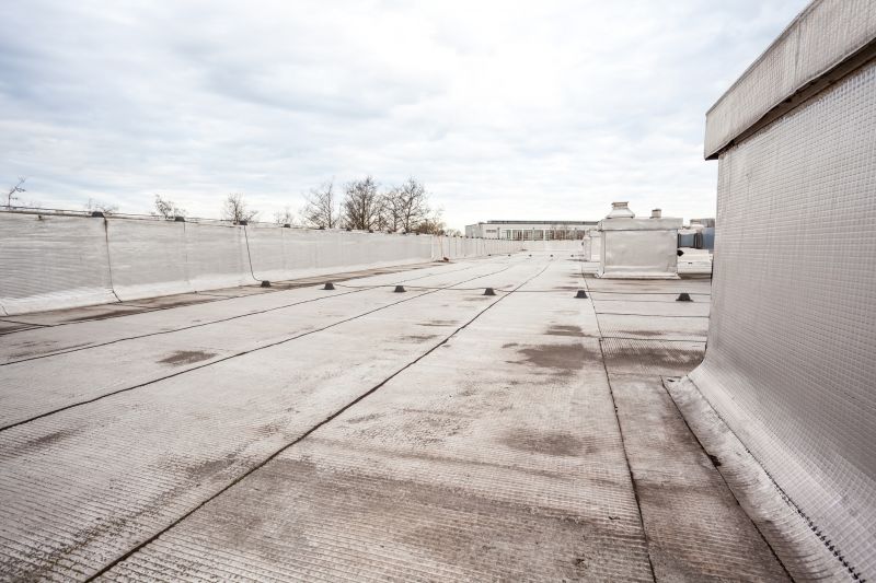 Tpo Roof Repair in Parsonsburg, MD