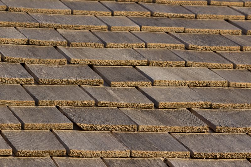 Wood Shake Roof Repair in Lewes, DE