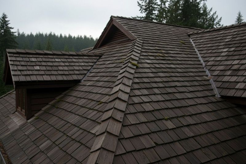 Wood Shake Roof Replacement in Lewes, DE