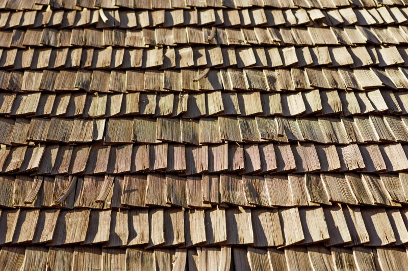 Wood Shake Roof Replacement in Selbyville, DE